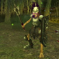 Skeleton Warrior