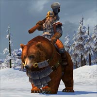 Bear Rider